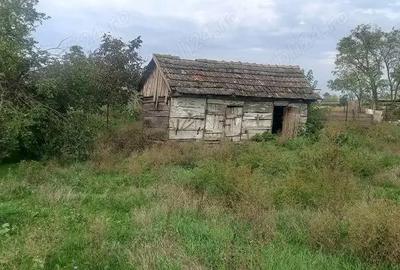 Casă cu 4 camere în Sânmiclăuș - 2