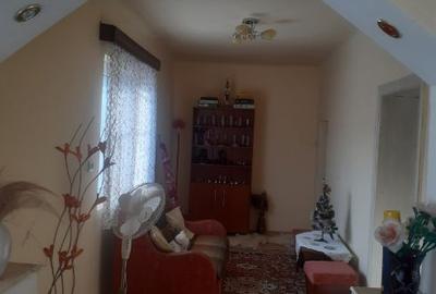 Casă de vînzare și grădină. - 9