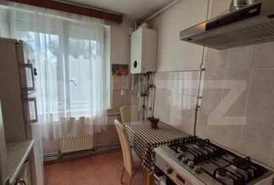 Apartament 4 camere, ultracentral, vedere superba, Deva - 11