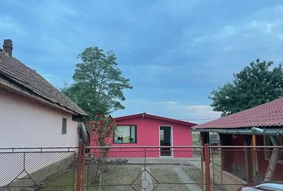 Casă cu 3 camere cu Teren 581 Mp în Grabaț - 1