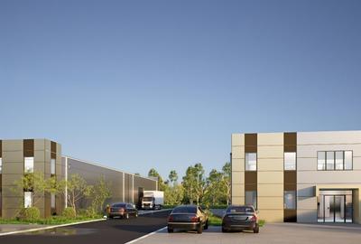 Hale noi de vanzare in Ciolpani - Proiect 2026 - 5