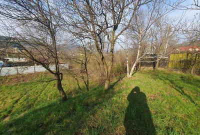 Teren de 1800 mp, în Viișoara - 7