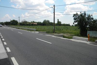 Teren agricol intravilan de 14200 mp, în Dioști - 1