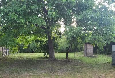 Teren de 1211 mp, în Sfârleanca