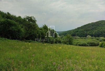 Teren de vanzare, 20.000Mp , Comuna Danes, drumul Crisului - 3