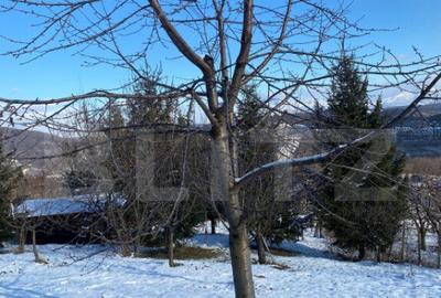 Teren intravila de vanzare, 1.100 mp, in Bistri?a, pe str - 5