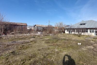 Braila, Str. Castanului - 3767 mp - 3