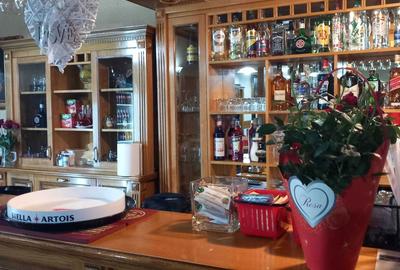 Spațiu comercial, în Micălaca - 4