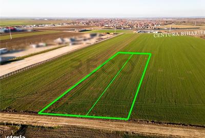 Spațiu comercial, în Biharia