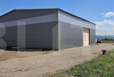 Hala industriala, de vanzare, 522 mp, zona exterior sud - 3