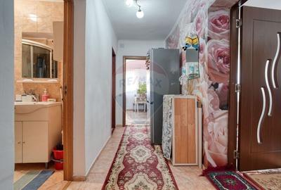 Duplex cu 6 camere cu Teren 416.36999511719 Mp în Bartolomeu - 29