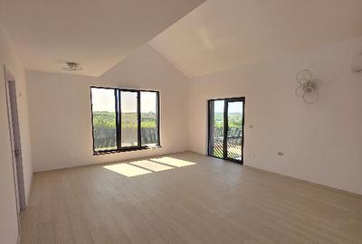 Casa lumina naturala,incalzire in pardoseala,curte superba,Visani,Iasi - 9