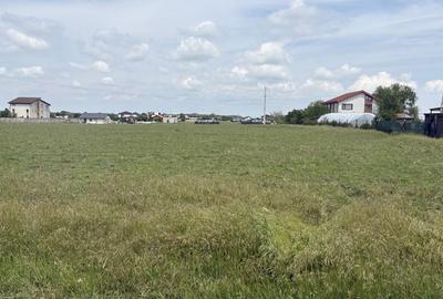 Teren de 500 mp, în Islaz