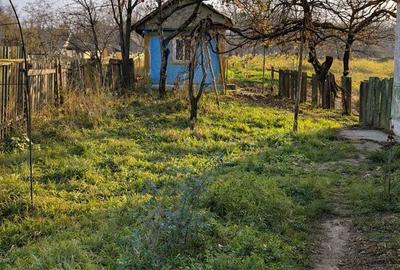 Spațiu comercial, în Hănțești - 6