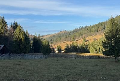 De vanzare 6850 mp pasune langa Manastirea Doroteia - Frasin /Plutonita - 7
