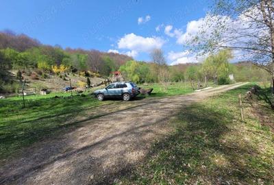 Teren de 4000 mp, în Satu Mare - 2