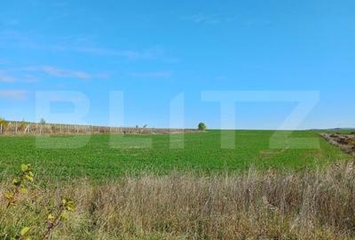 Teren de 2877 mp, în Săndulești - 2