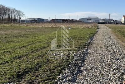 Spațiu comercial, în Șagului - 2