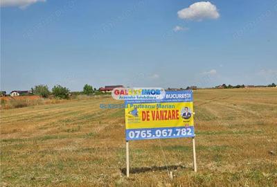 Teren 4495 mp situat in comuna Clinceni aproape de zone Rezidentiale - 10