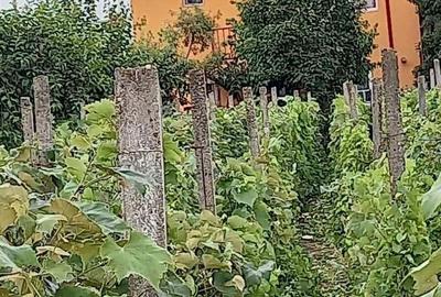 Casă cu 6 camere în Bariera Vâlcii - 1