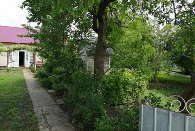 Casa batraneasca cu anexe si teren Loturi Enescu Dorohoi - 1