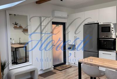 Garsoniera de inchiriat 1 camera in Cluj-Napoca zona Semicentrala - 1