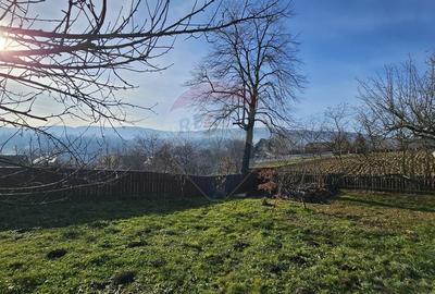 Casă / Vilă cu 3 camere de vânzare-Cacica-Suceava - 25