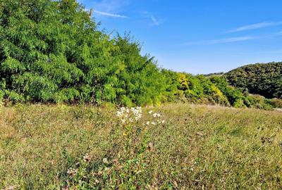Spațiu comercial, în Moldovenești - 4