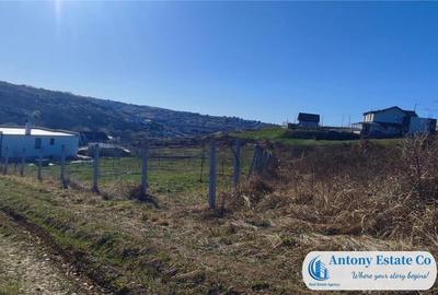 Teren intravilan de - Zona Saldabagiu De Munte, Bihor - 6