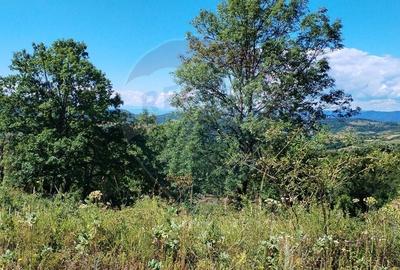 Teren Construcții intravilan de 3871 mp, în Vărmaga - 3