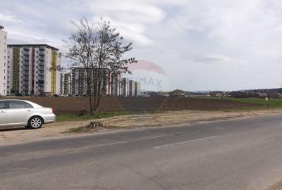 Teren 33088 mp,  Avantgarden Bartolomeu - 6