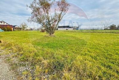 Teren 1,100mp Sighetu Marmatiei / Strada Doboies - 3