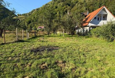 Casă individuală cu 2 camere cu Teren 1026 Mp în Boița - 6