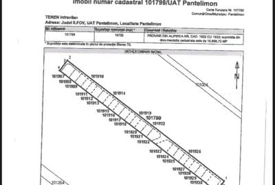 TEREN PARCELAT DE VANZARE ZONA PANTELIMON , STR POET GEORGE TARNEA - 2