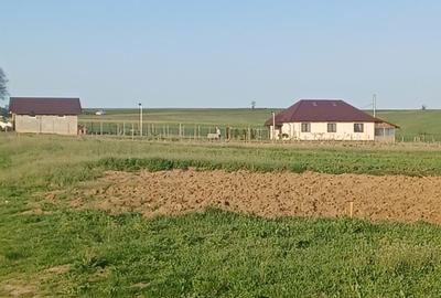 Spațiu comercial, în Dealu - 1