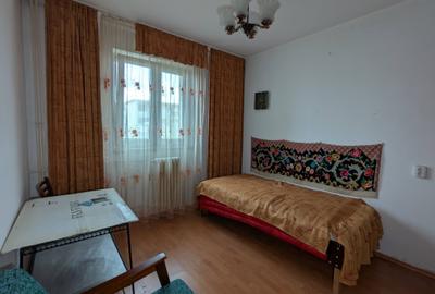 Camera de camin sau doua Gemenii Florilor - 2