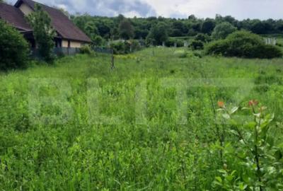 Teren de 1800 mp, în Ciurila - 2