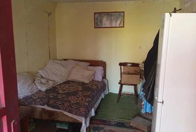 Casă cu Teren 2160 Mp în Gănești - 6