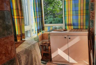 Vand apartament 2 camere Nicolae Grigorescu - 9