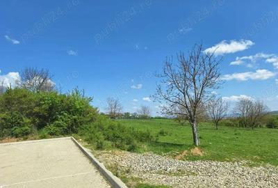 Teren 3250 mp cu AUTORIZATIE DE CONSTRUIRE imobil cu 30 de apartamente Teren 3250 mp cu AUTORIZATIE DE CONSTRUIRE imobil cu 30 de apartamente - 1