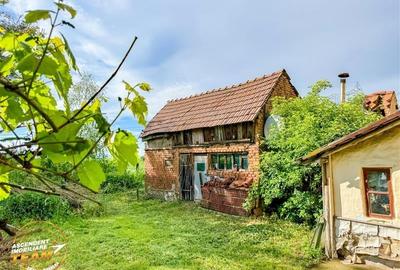 Refugiu cu farmec rustic cu:spatii auxiliare si 1.500 mp teren,Santionlunca,Cova - 8