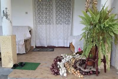 Casă cu 3 camere cu Teren 650 Mp în Sfântu Gheorghe - 6