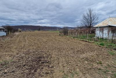 Teren intravilan in Sanduleni/ Bacau de vanzare - 1