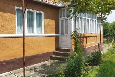 Vand casa Ru?ii Munti - 9