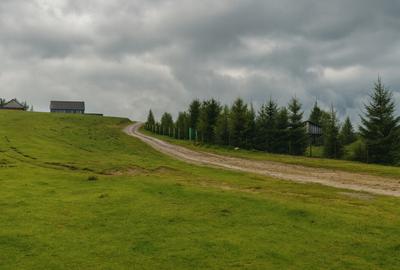 Teren de 673 mp, în Paltin - 4