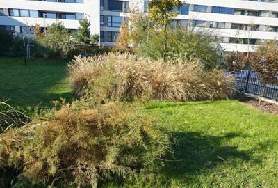 Apartament 3 camere Atria Uban Resort Apartament 3 camere Atria Uban Resort - 4