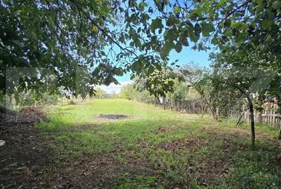 Casa cu 3 camere in Turdas - 5