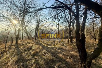 Casa moderna 5 camere Drajna de Sus,  teren generos si pomi fructiferi - 25