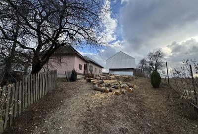 Teren de 24000 mp, în Nucșoara - 3