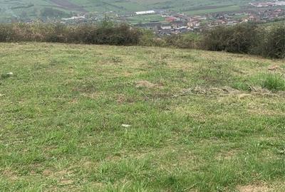 Spațiu comercial, în Lechința - 2